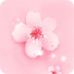 猫咪直播最新版