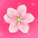菠萝蜜视频绿巨人视频app免费版