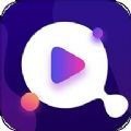 午夜播放器app下载大全