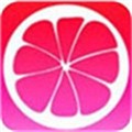 套路社交app女王版