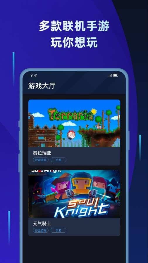蒲公英联机平台app2