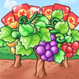 葡萄园大亨最新游戏app下载